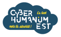 Cyber Humanum Est – a Cyber Wargame